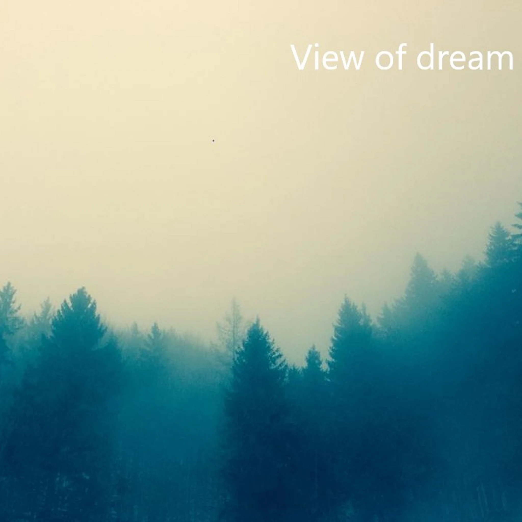 View of dream
