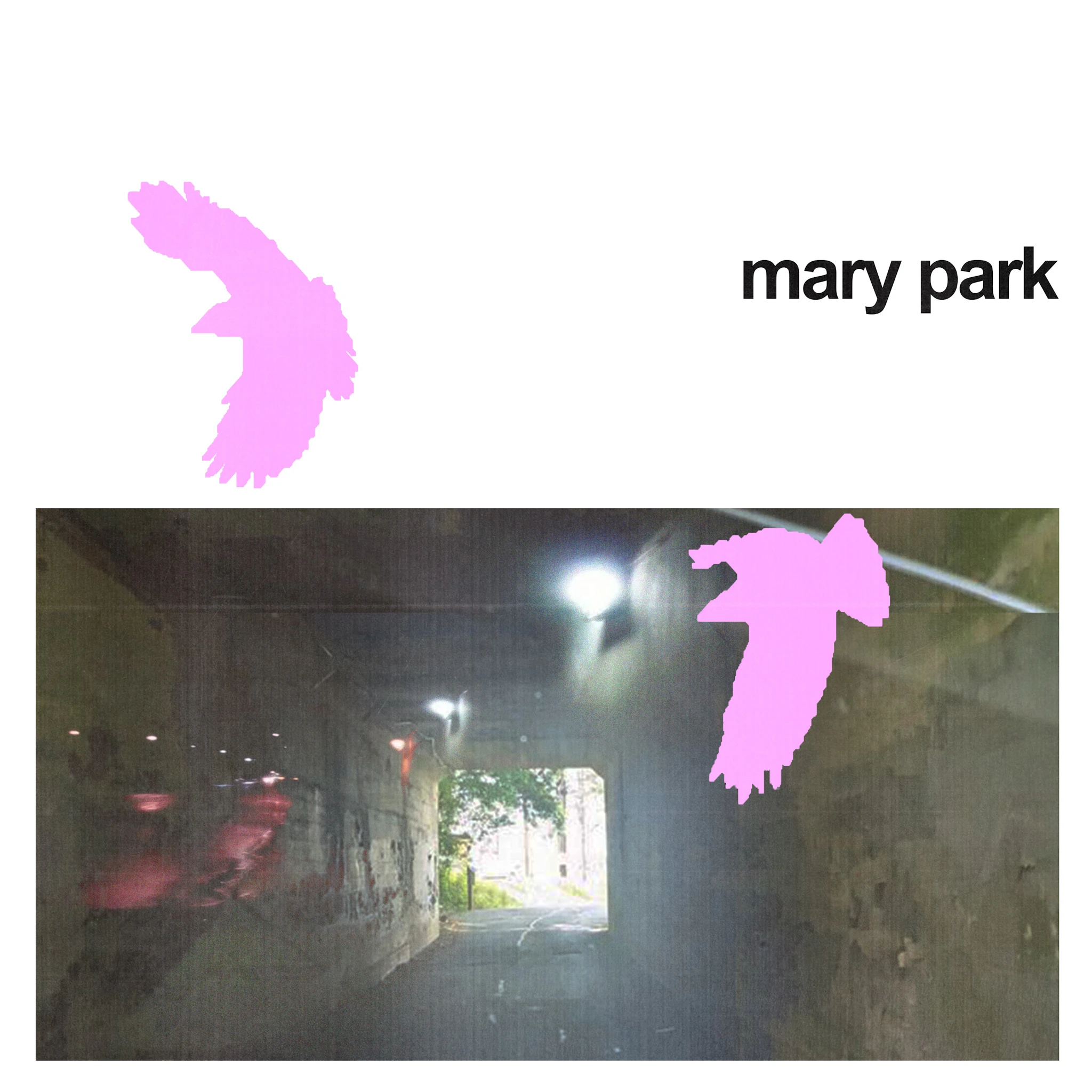 elixr - mary park