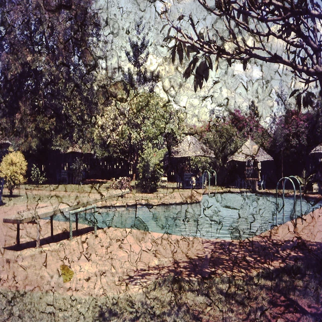 Glimlicht - Texan Tea