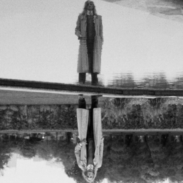 Capitol K - Artichoke