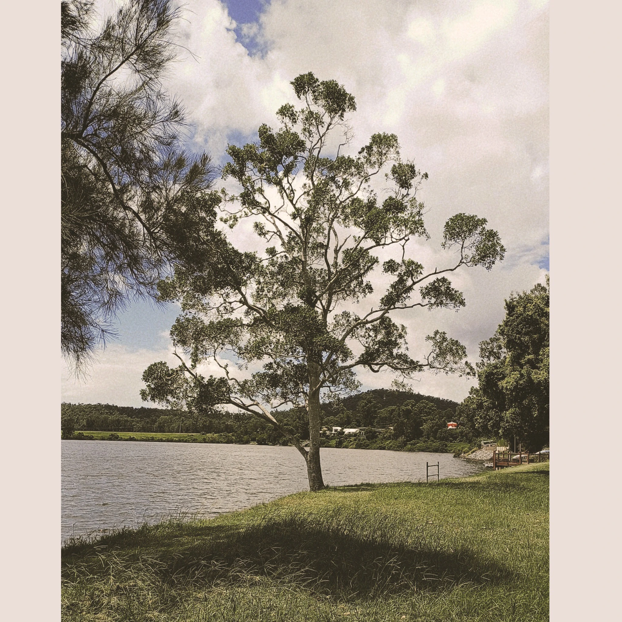 ff8282 - 'Calling a Wolf'