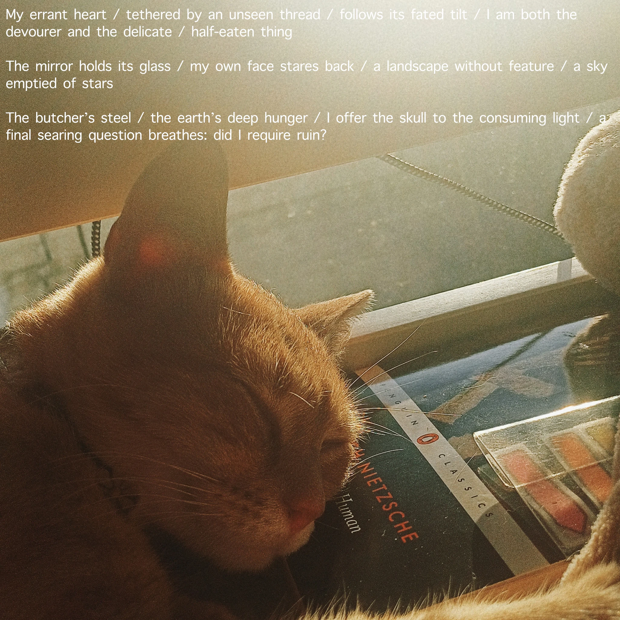 ff8282 - ‘a thin membrane between her hands'