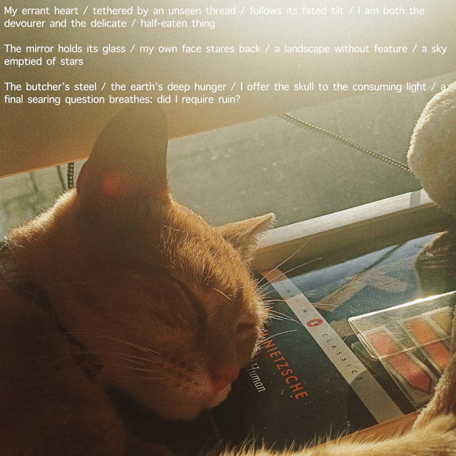 ff8282 - ‘a thin membrane between her hands'