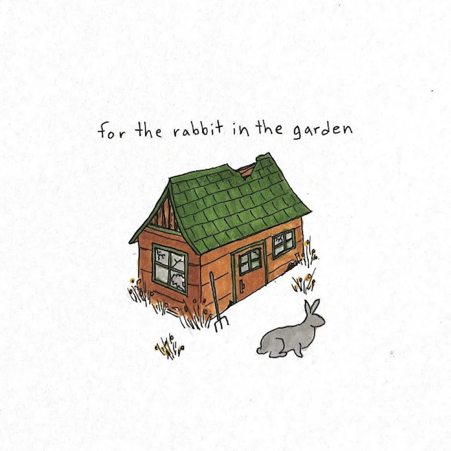 Throwing Rocks at Cars - for the rabbit in the garden