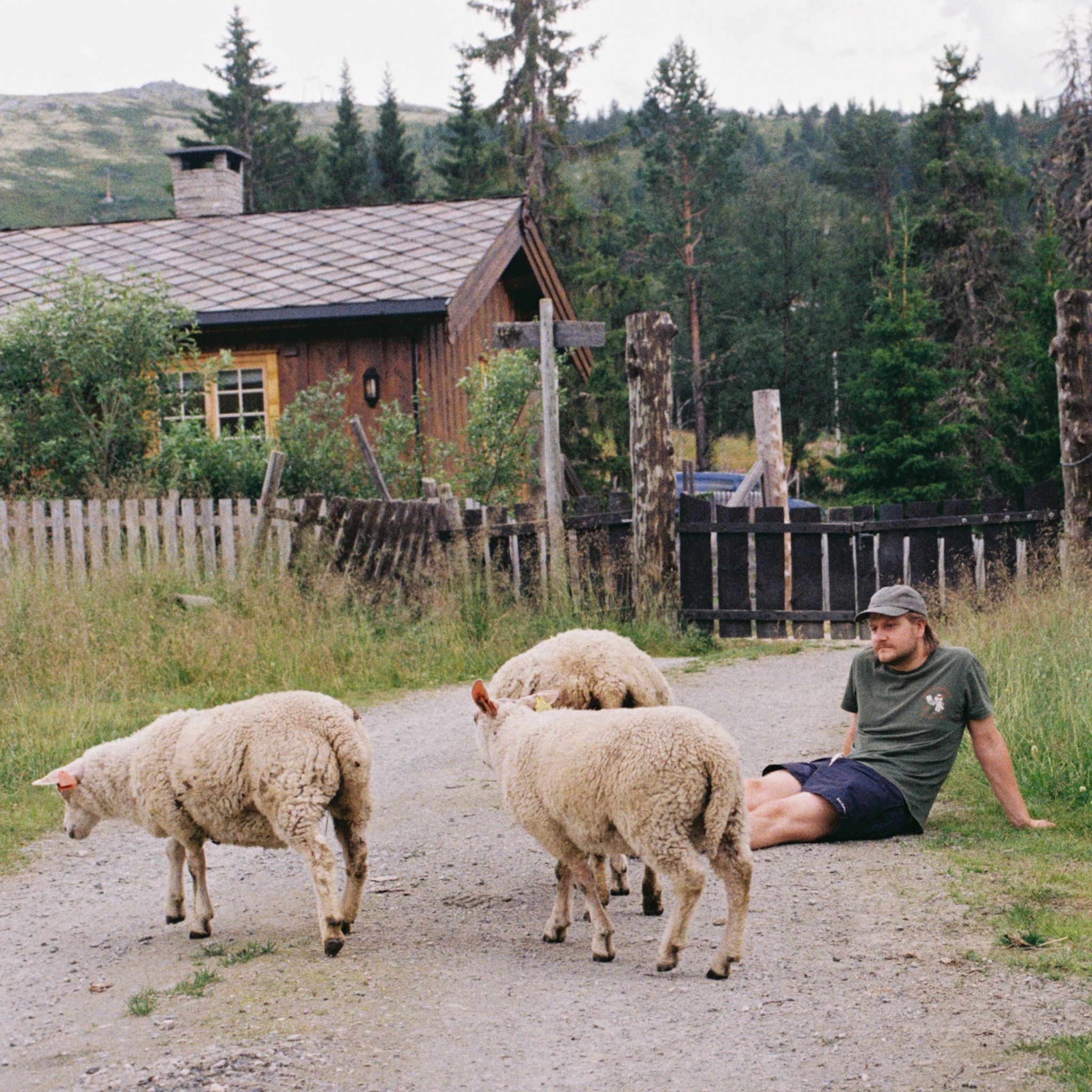 Camp Rock - Campylobacter