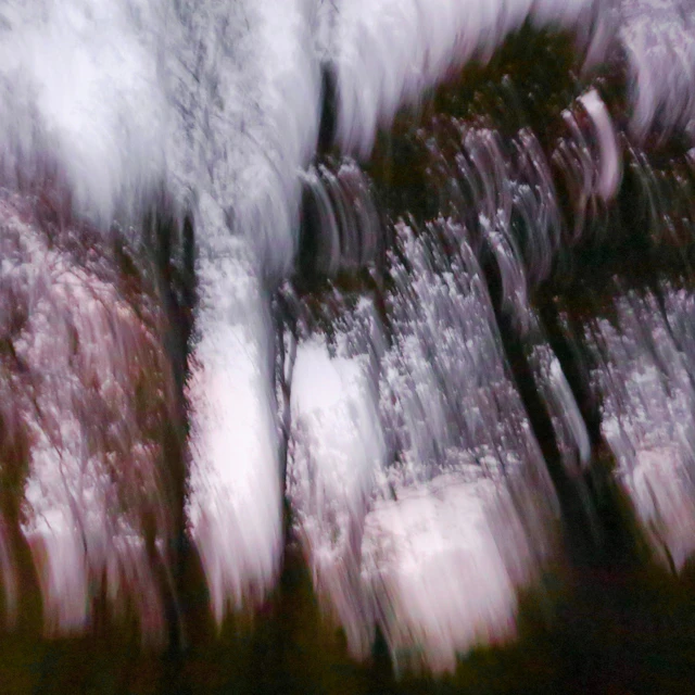 pam risourié - Solemnly