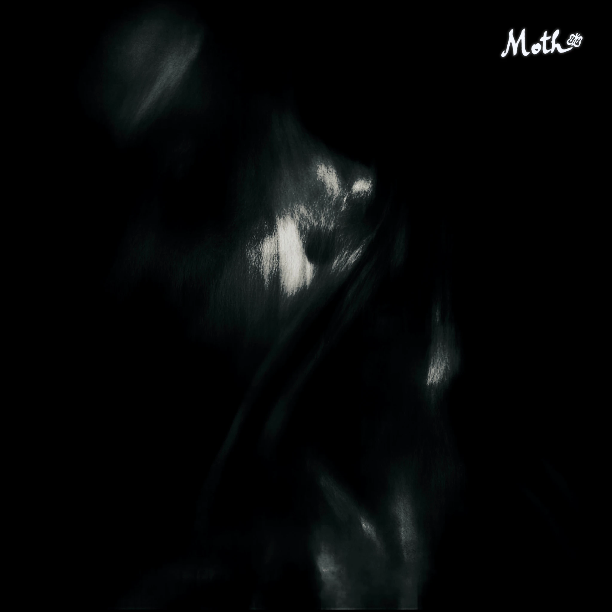 Pam Risourié - Moth