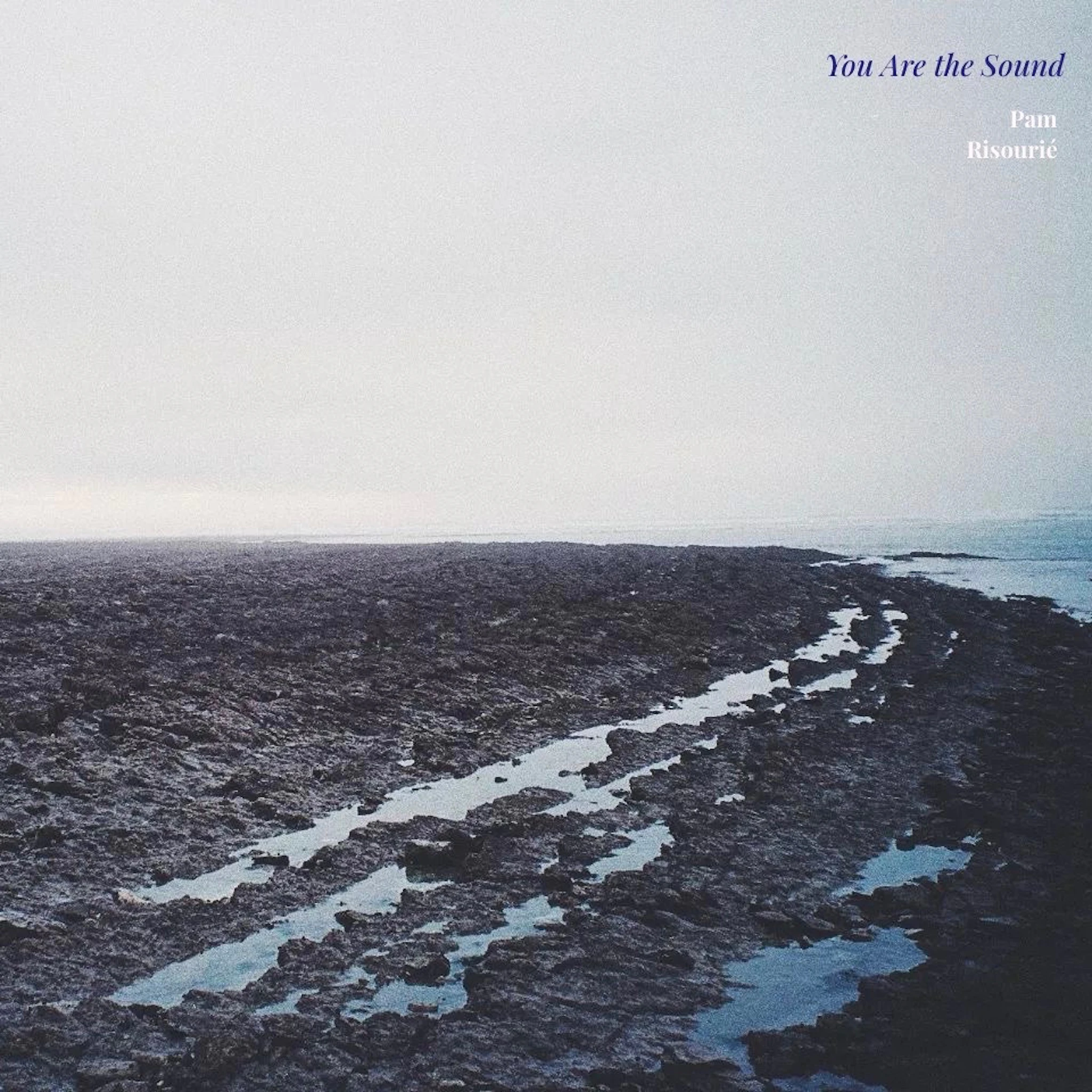 pam risourié - You are the Sound