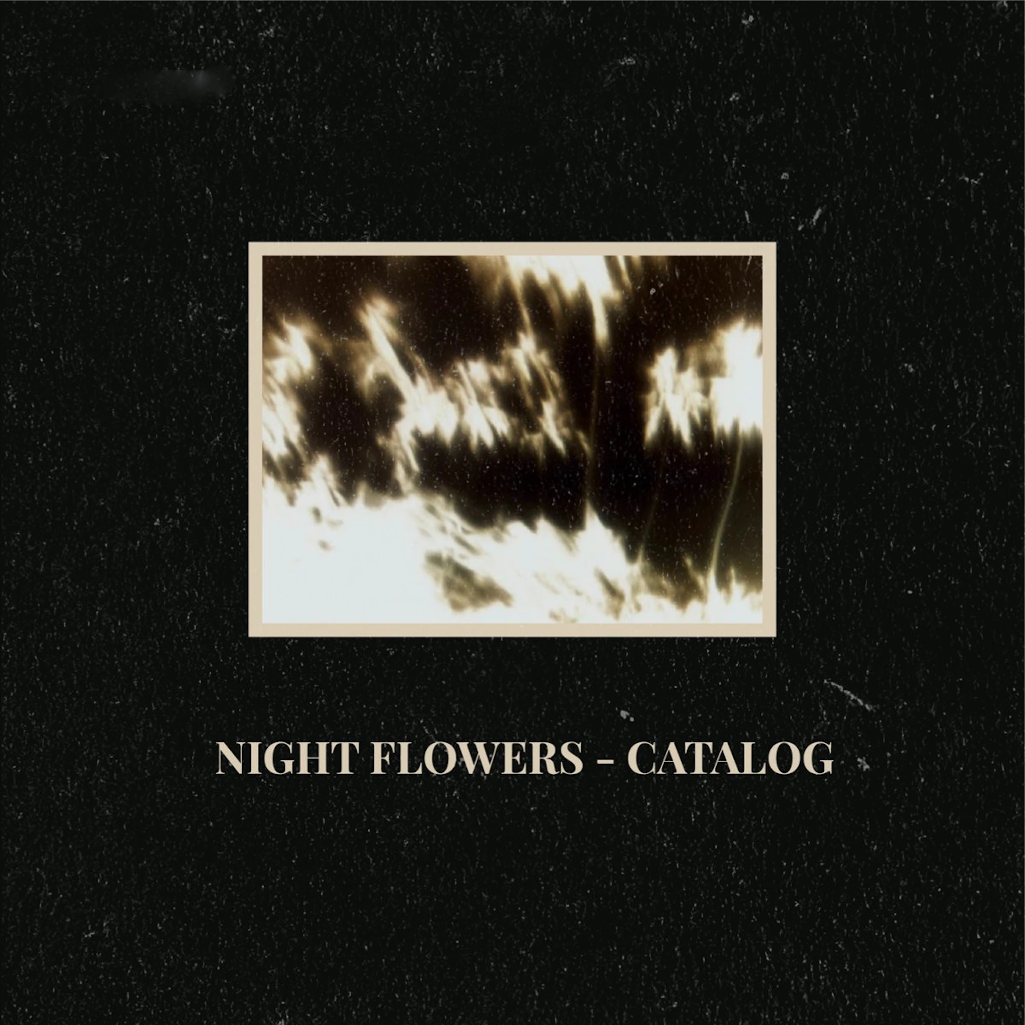 Night Flowers