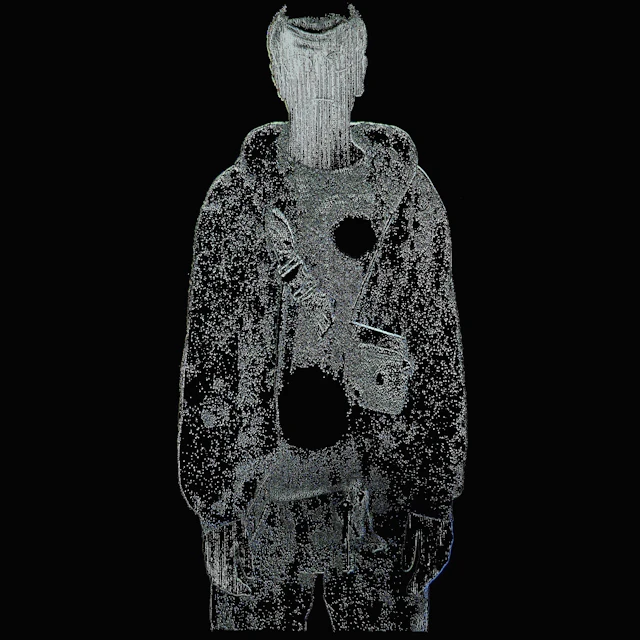 Pleading Fern - 23 Problems