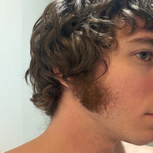 David Stark - snowsteps (from: "semicolon versus semicolon")