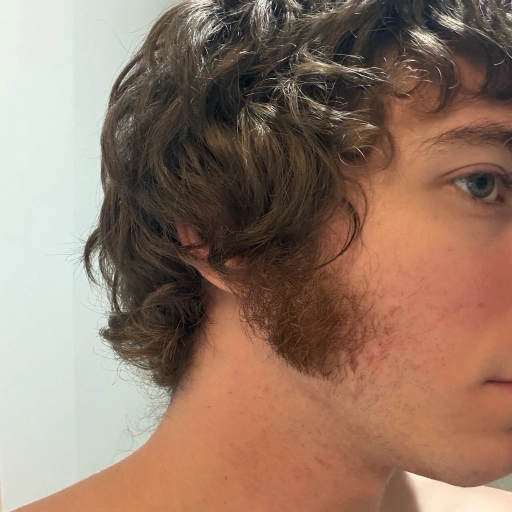 David Stark - semicolon versus semicolon