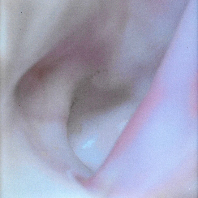 they have the internet, we have the moon