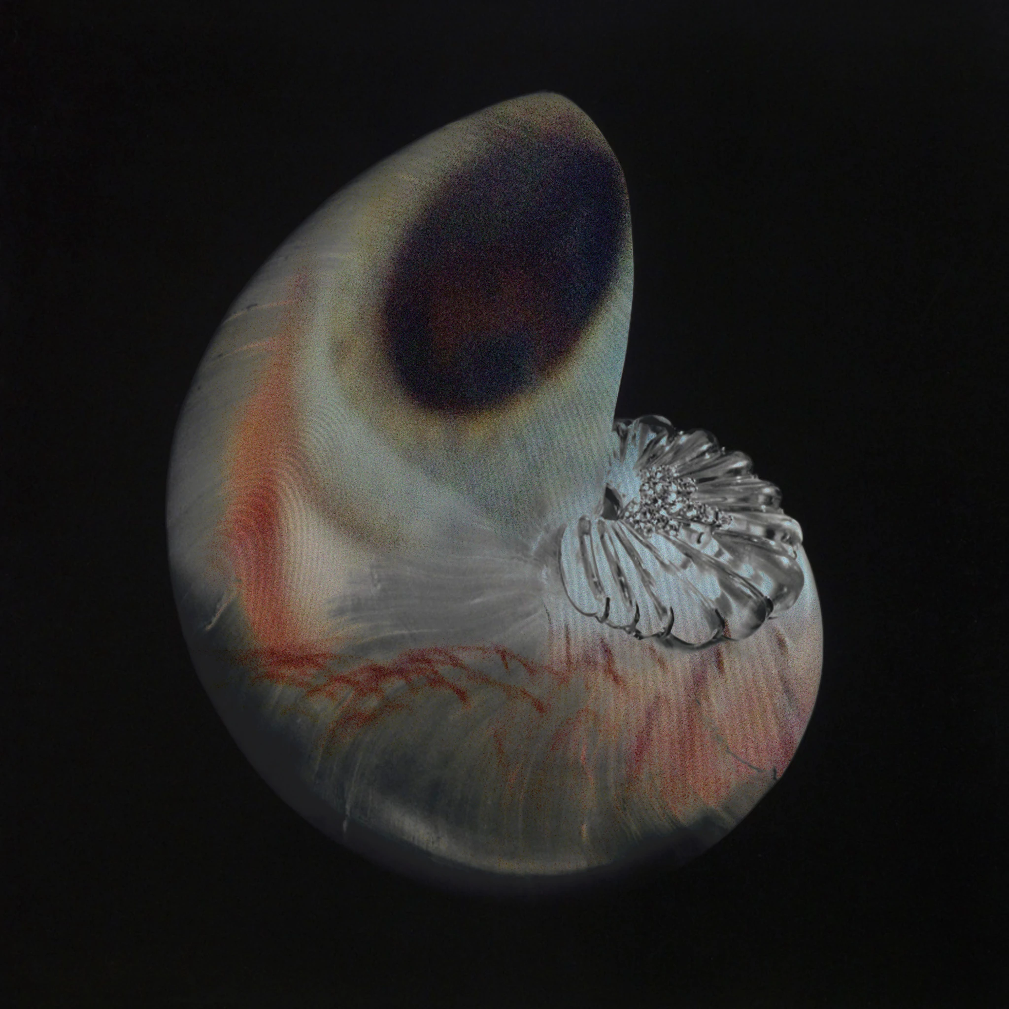 If I don't get to see the beauty of the end of culture then at least I've seen the culture of the end of reality - TIMES