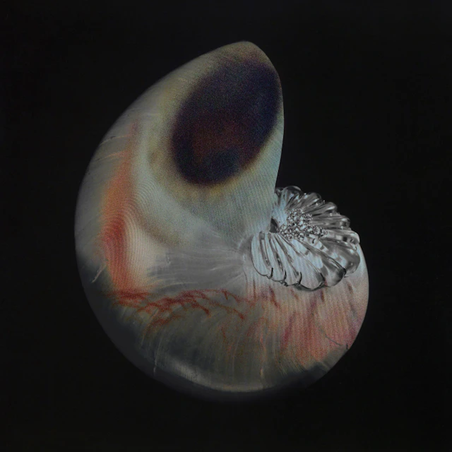 If I don't get to see the beauty of the end of culture then at least I've seen the culture of the end of reality - TIMES