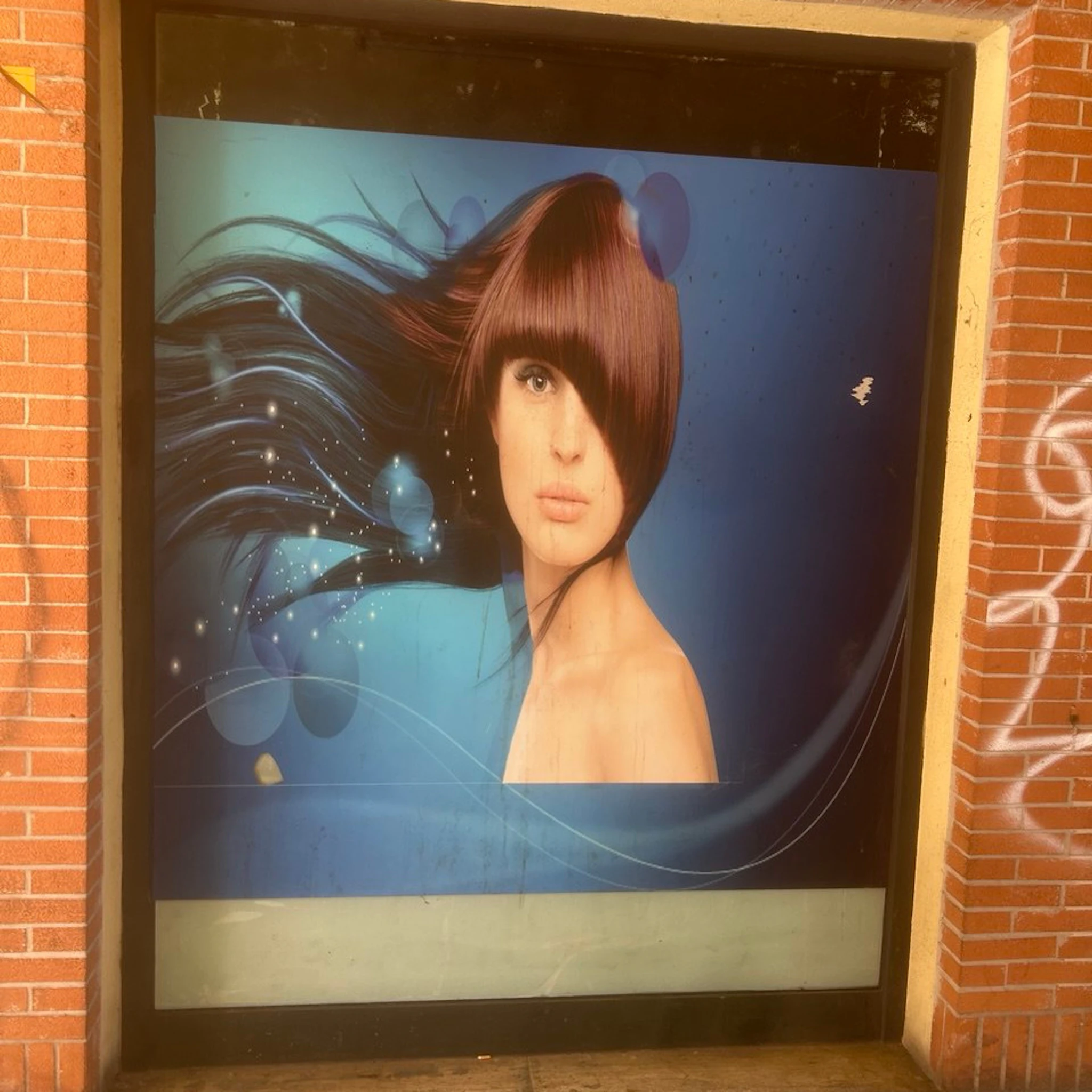 champagne doves x children - blend