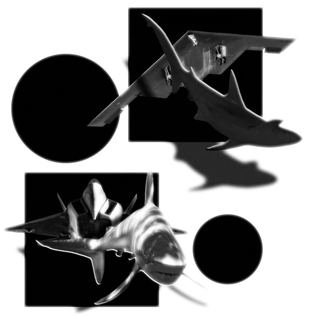 Sharkatto - Shark Stealth