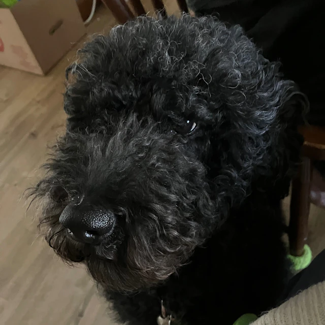 Episode 3 The land eating monsters