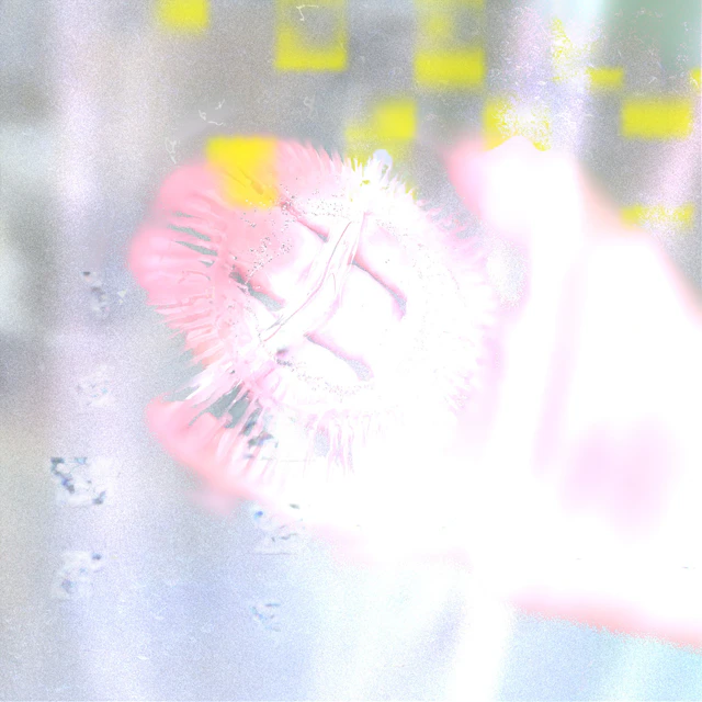 Lasus - Marks With Impermanent Meanings