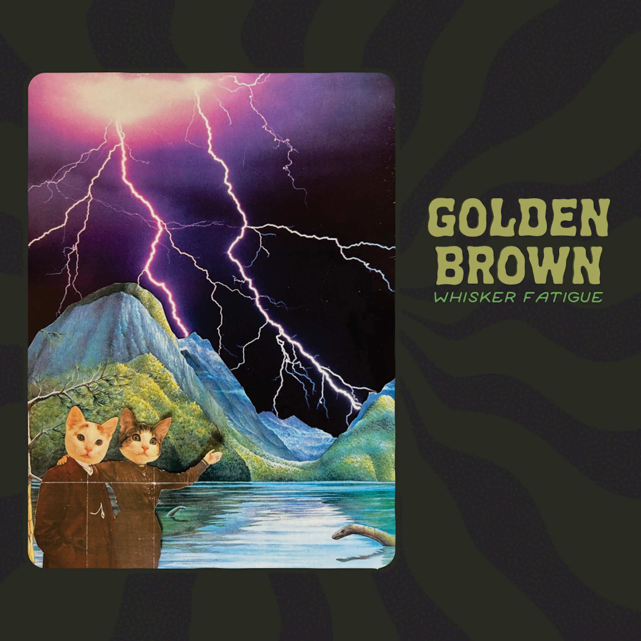 Golden Brown - Whisker Fatigue