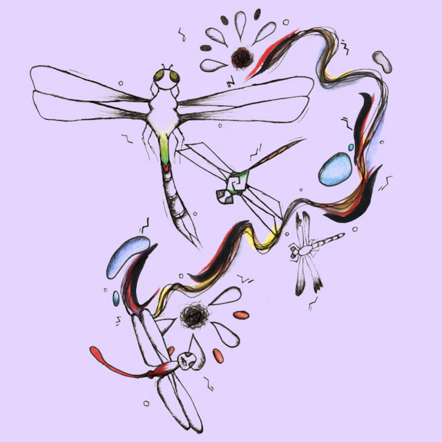 Salem's Corydalis - The Dragonfly Song