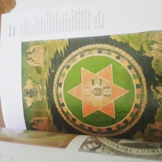 Torn Hawk - Torn Hawk Daily Mood Boost #1