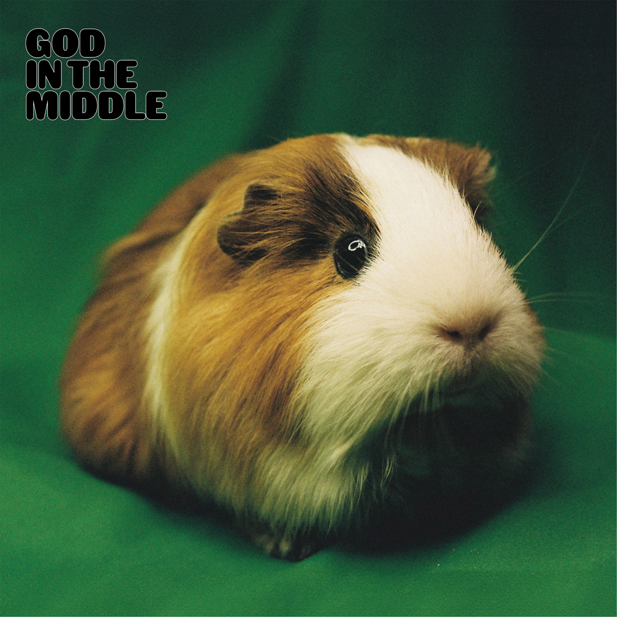 Helmut - God in the Middle