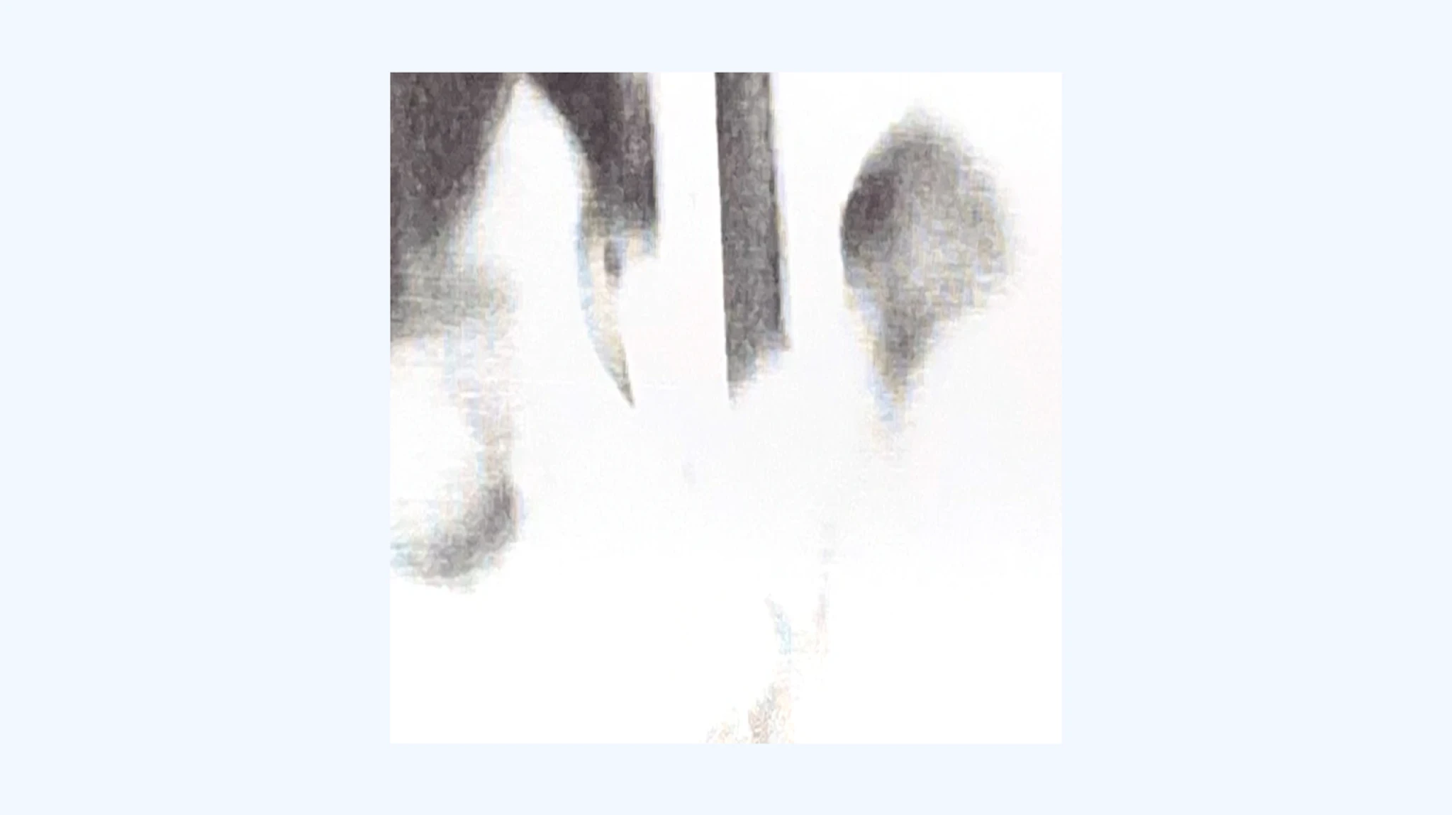 Horse Vision – You Could Have It