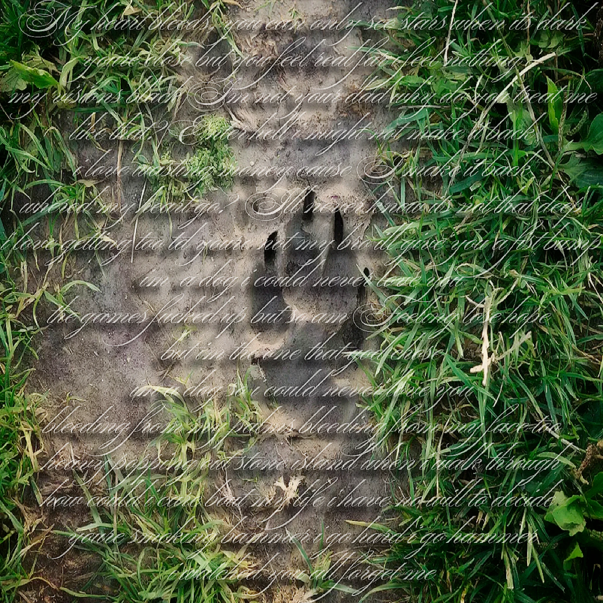 Dog - Fist Bump (prod. Dog)