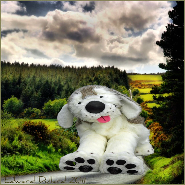 Dog - My Heart (Prod. Dog)