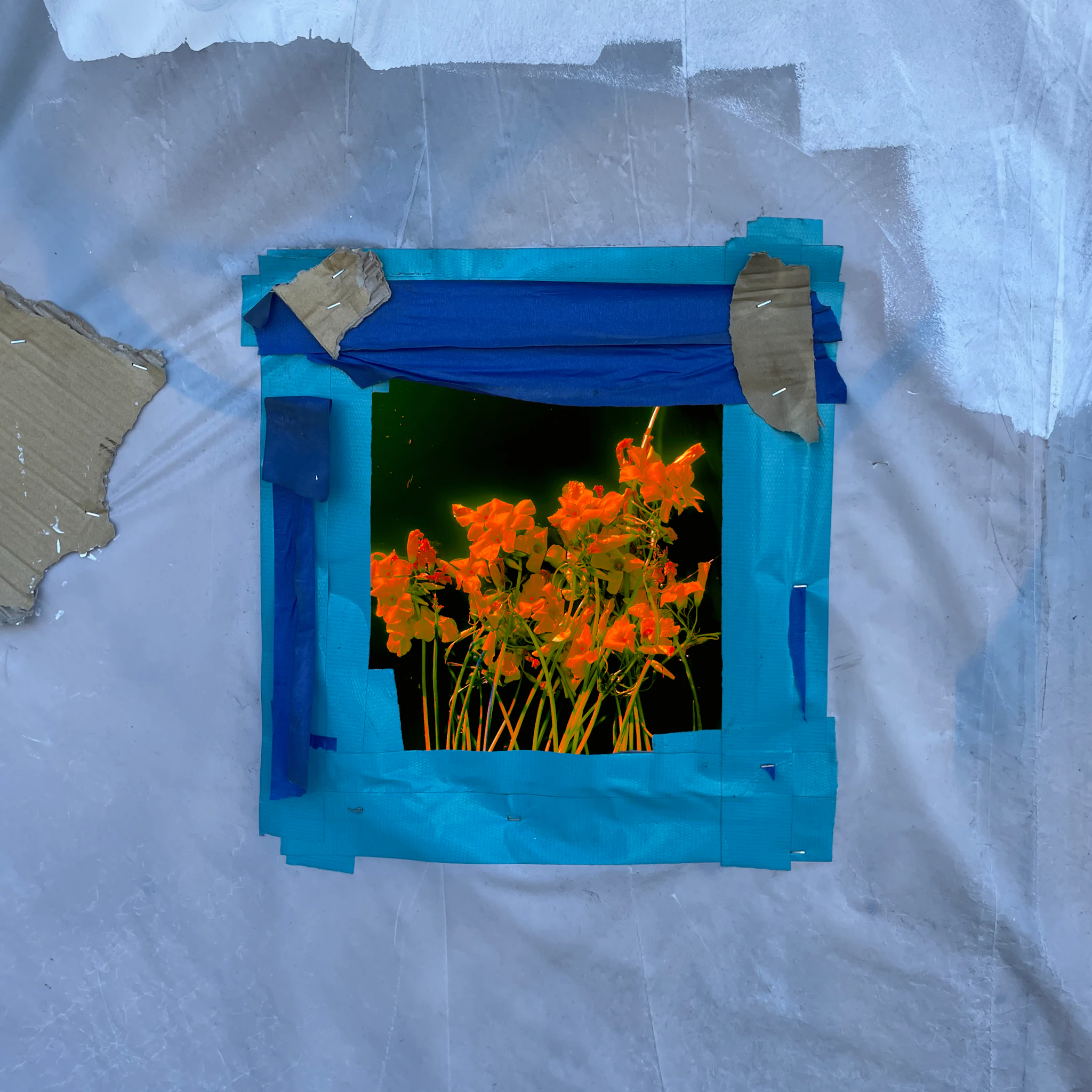 The Harp Players - Destruction