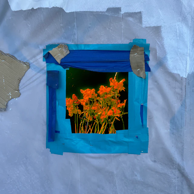 The Harp Players - Destruction