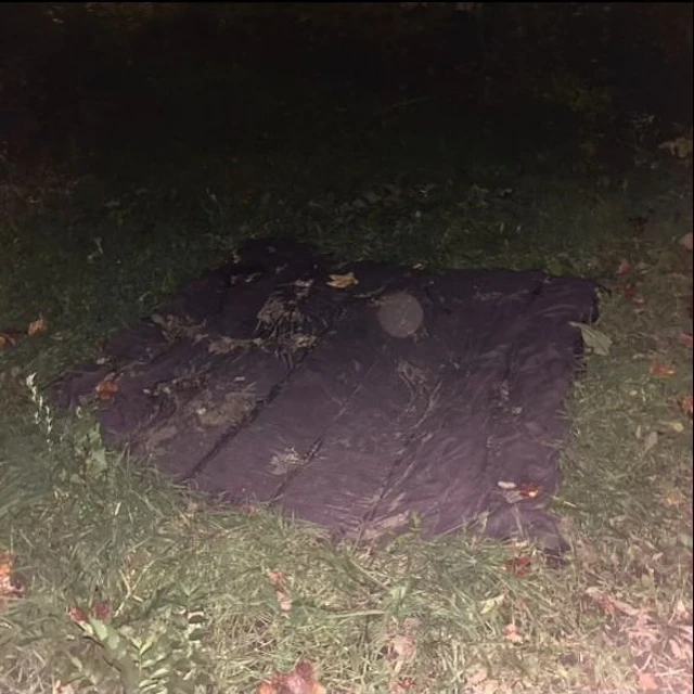 Daundry - Turing Test demo