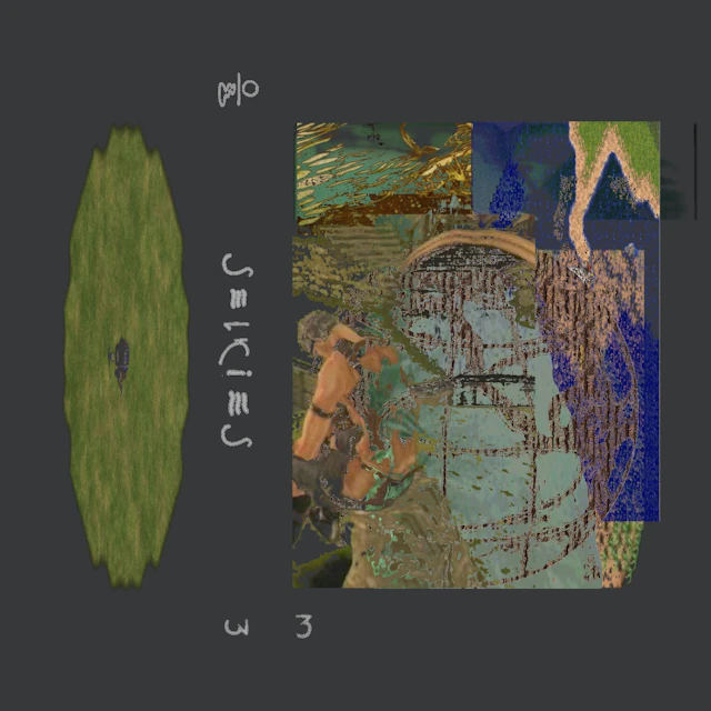 Wyn MT & New Vowel - selkies 3