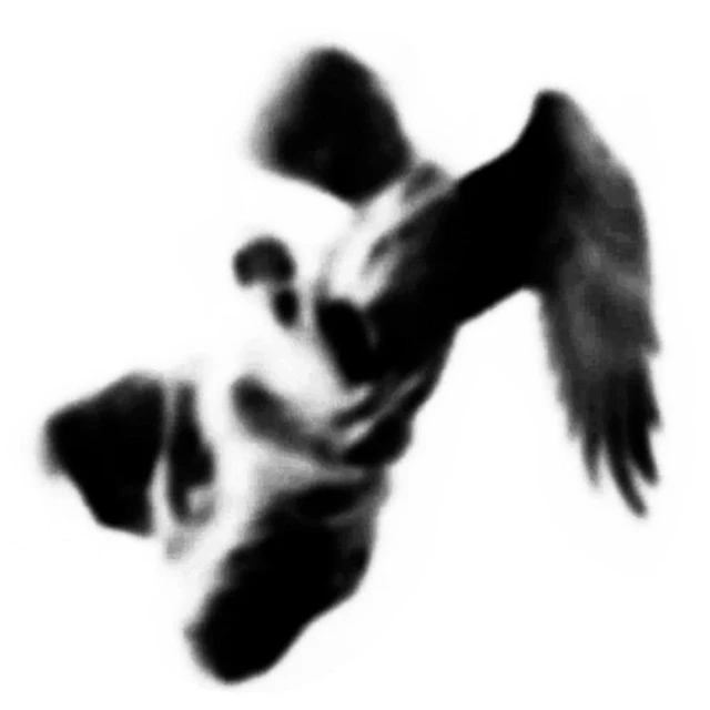 Bobby Ingham - Angel Of The North