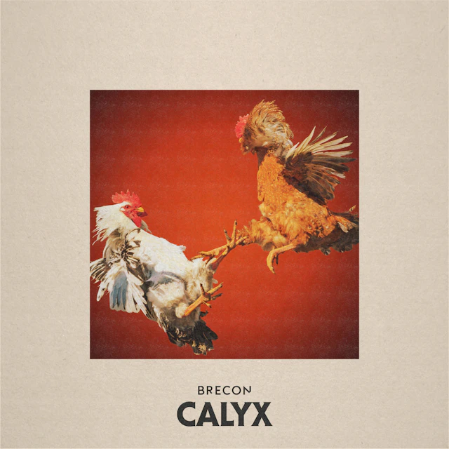 Brecon - Calyx EP
