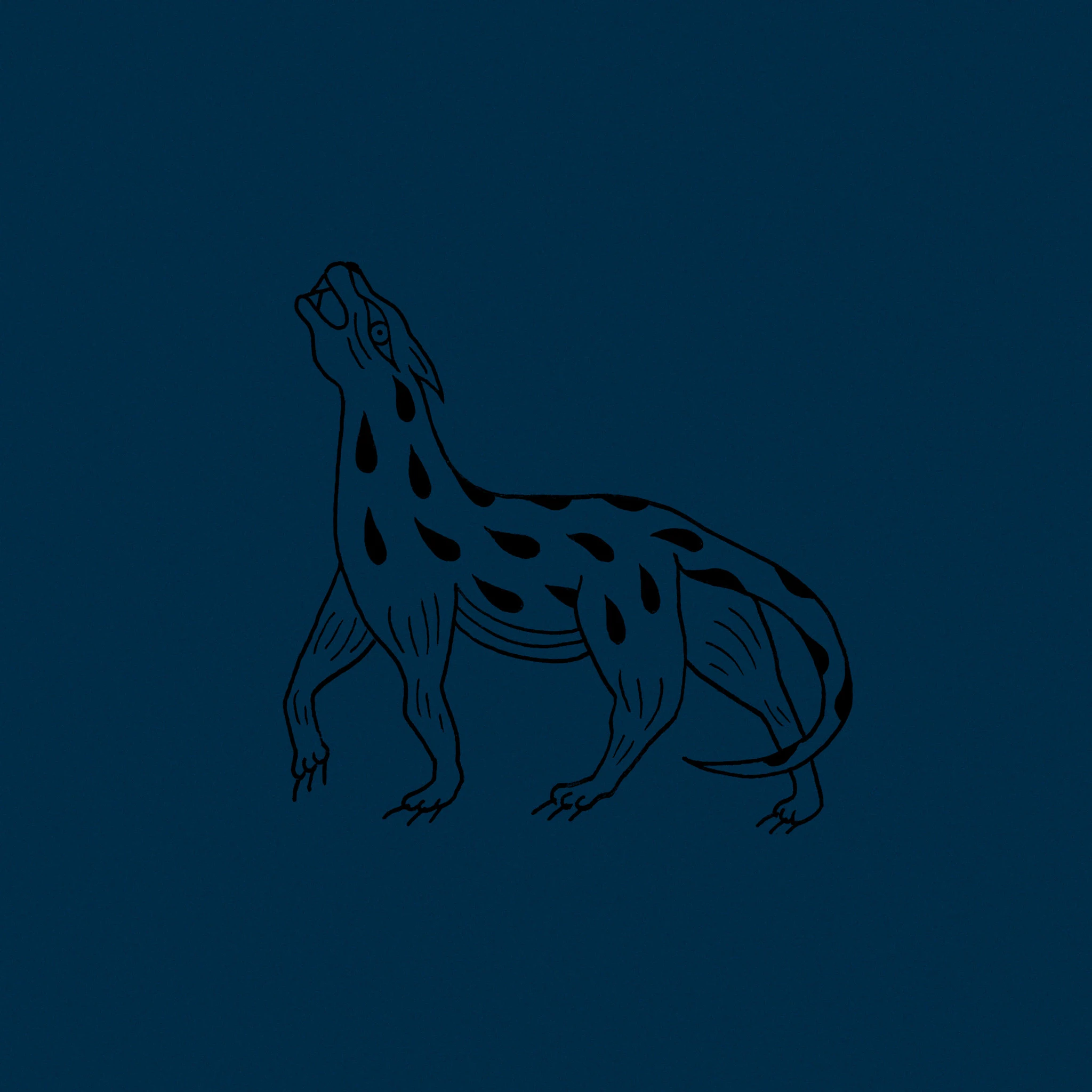 OE004 : V.A. - Il Lupo della Steppa