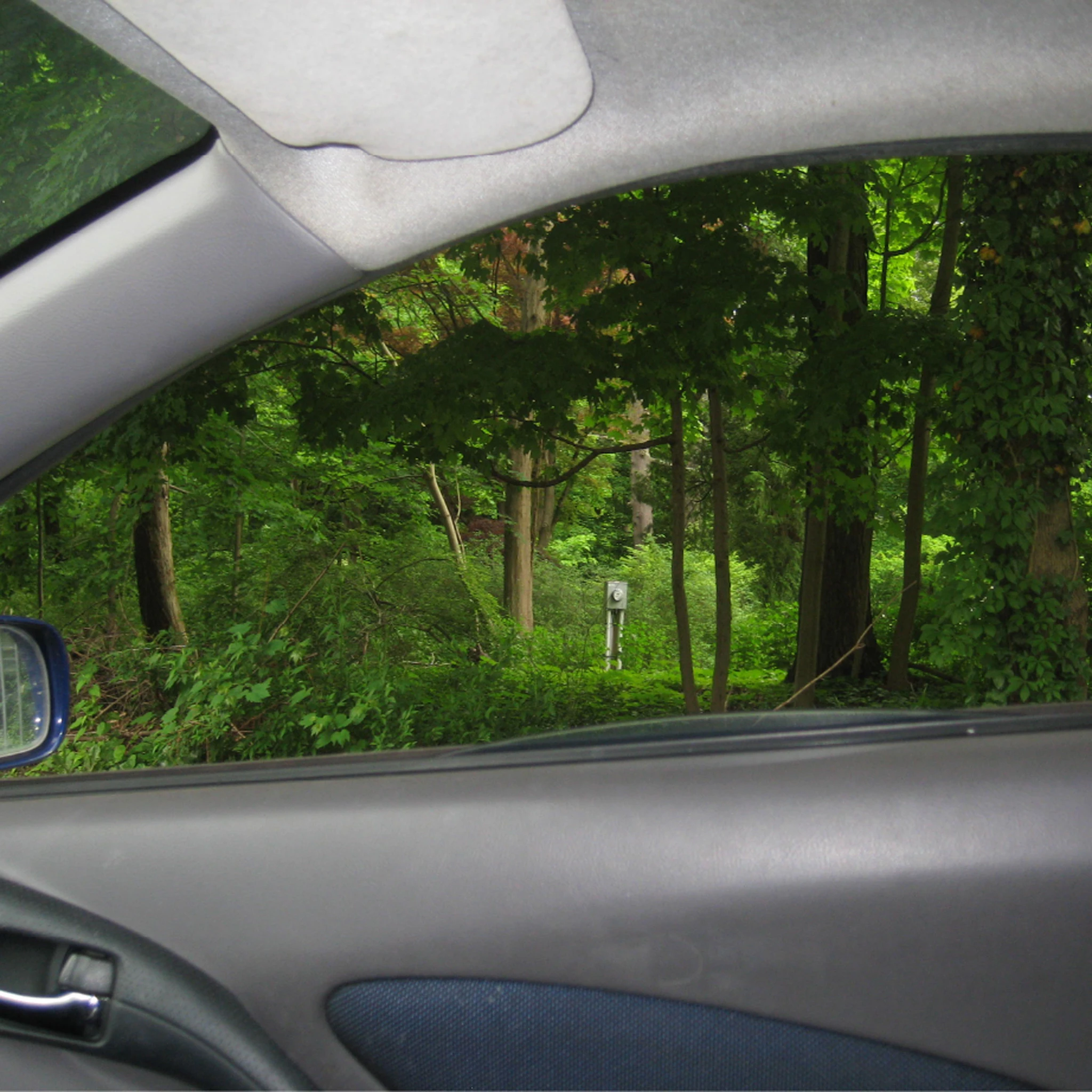 Couch Prints - Pitbull - Mixed Matches Remix