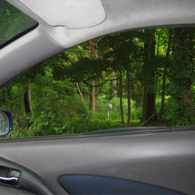 Couch Prints - Pitbull - Mixed Matches Remix