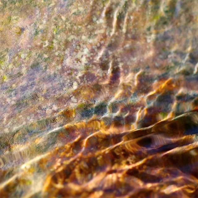 ghosttropics - Blissadness 13