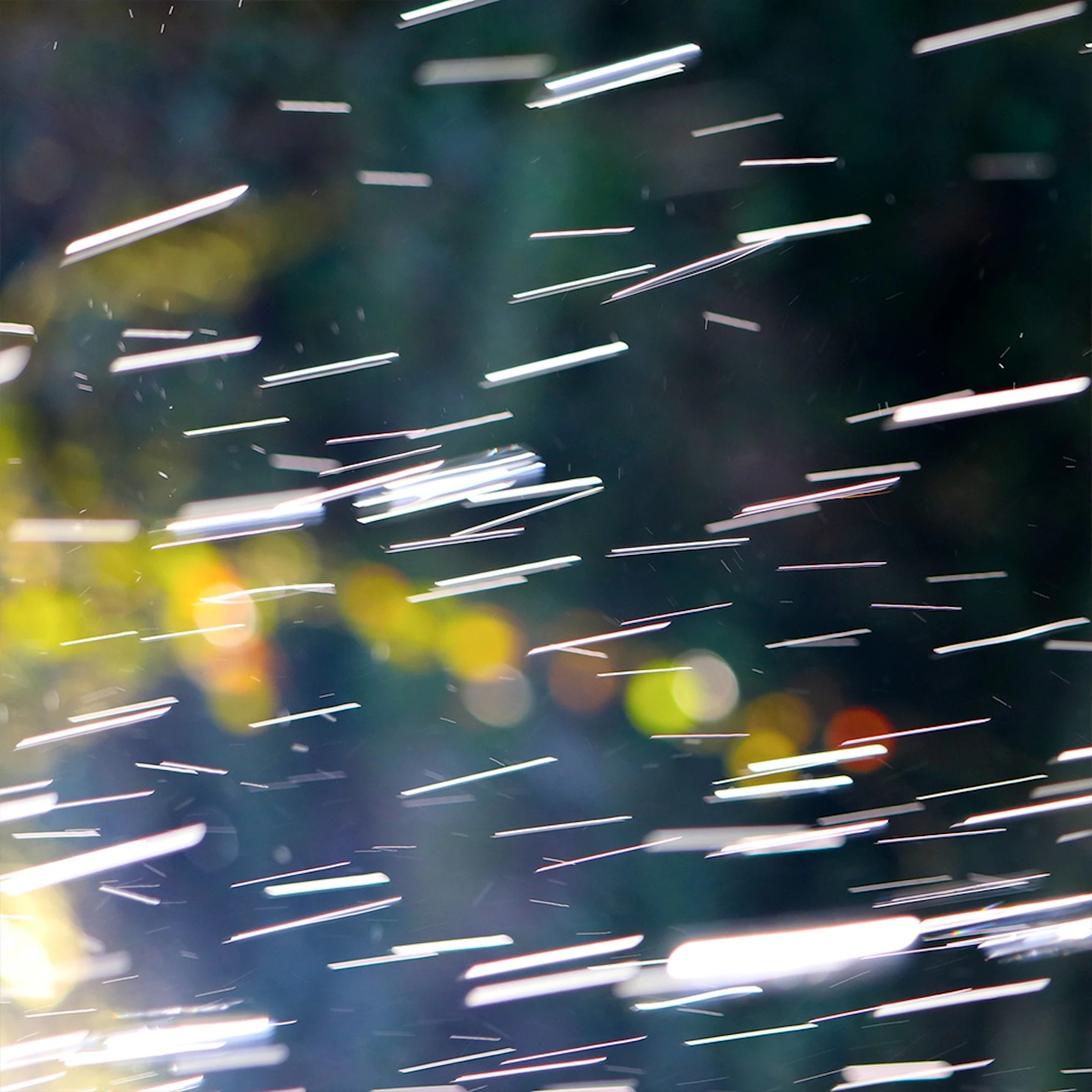 sleepdial - Blissadness 11