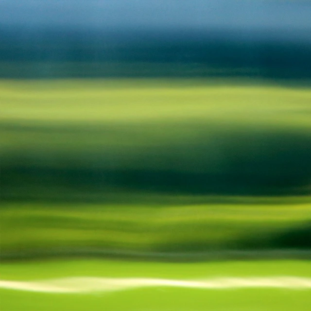 bluets - Blissadness 12