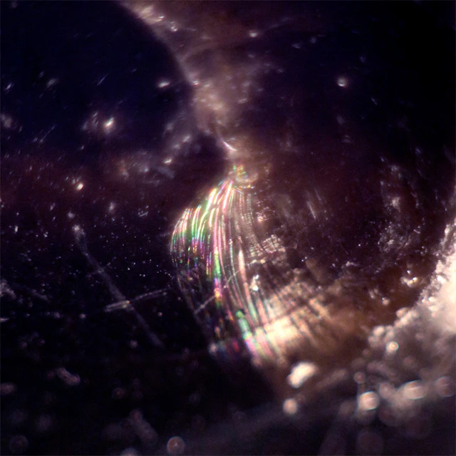 Dmitry Krylov - Blissadness 7