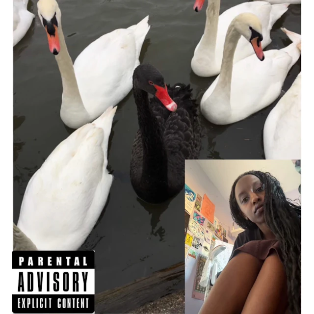 Trisha - Black Swan