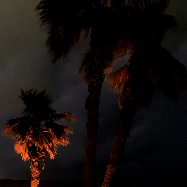 CRVIG & CThruRio - wassaname