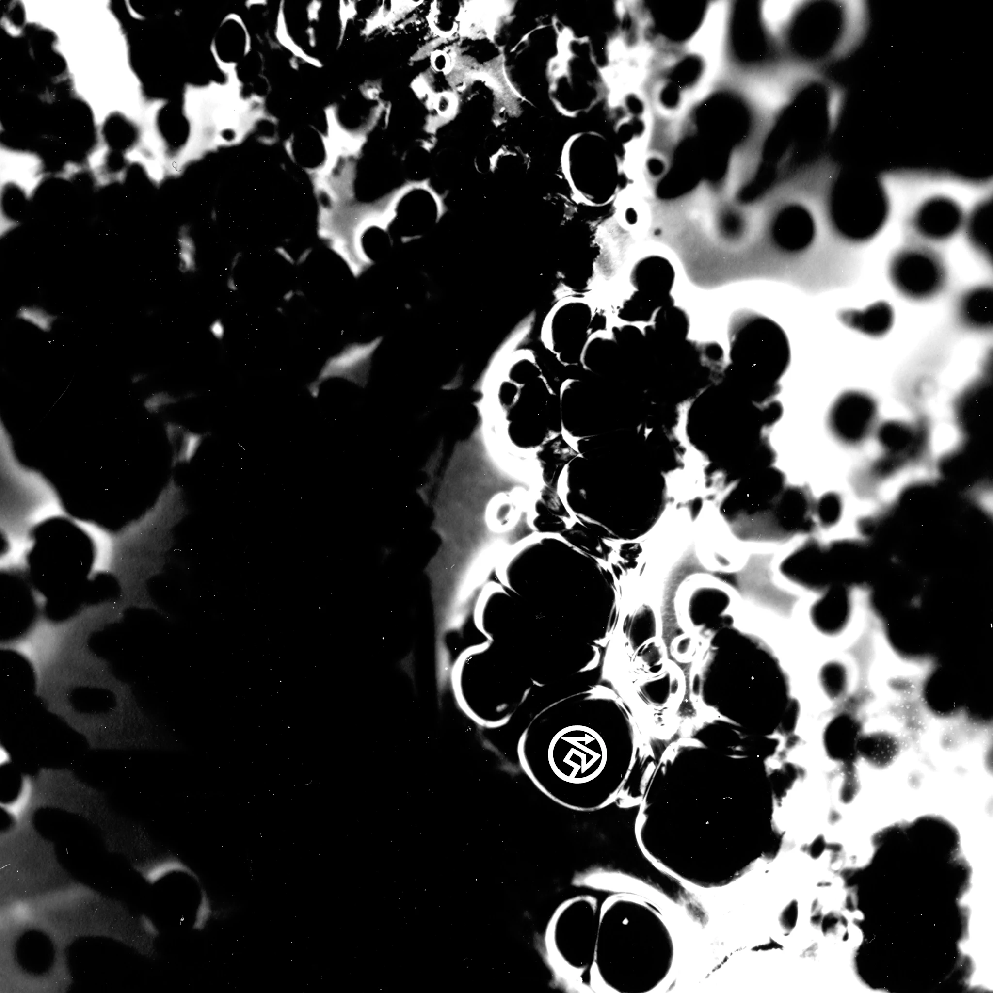 .cordless - tripping over//playing to the whistle