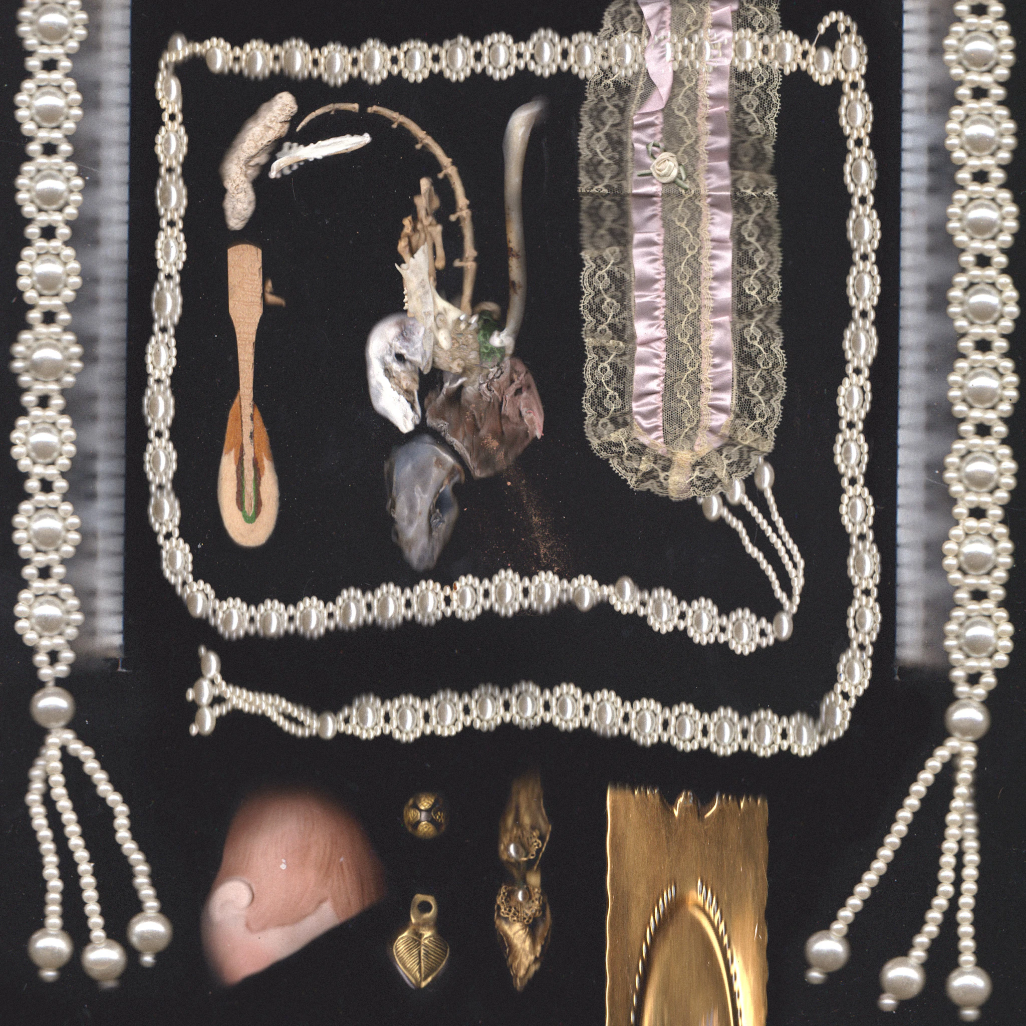 estuary..fragmentation - sedimentary flesh diary