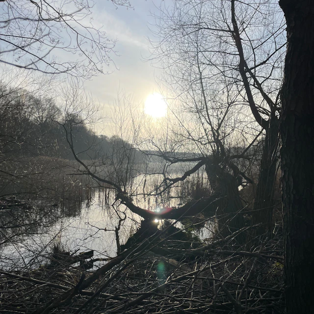 dnsrb - waking up from deceit