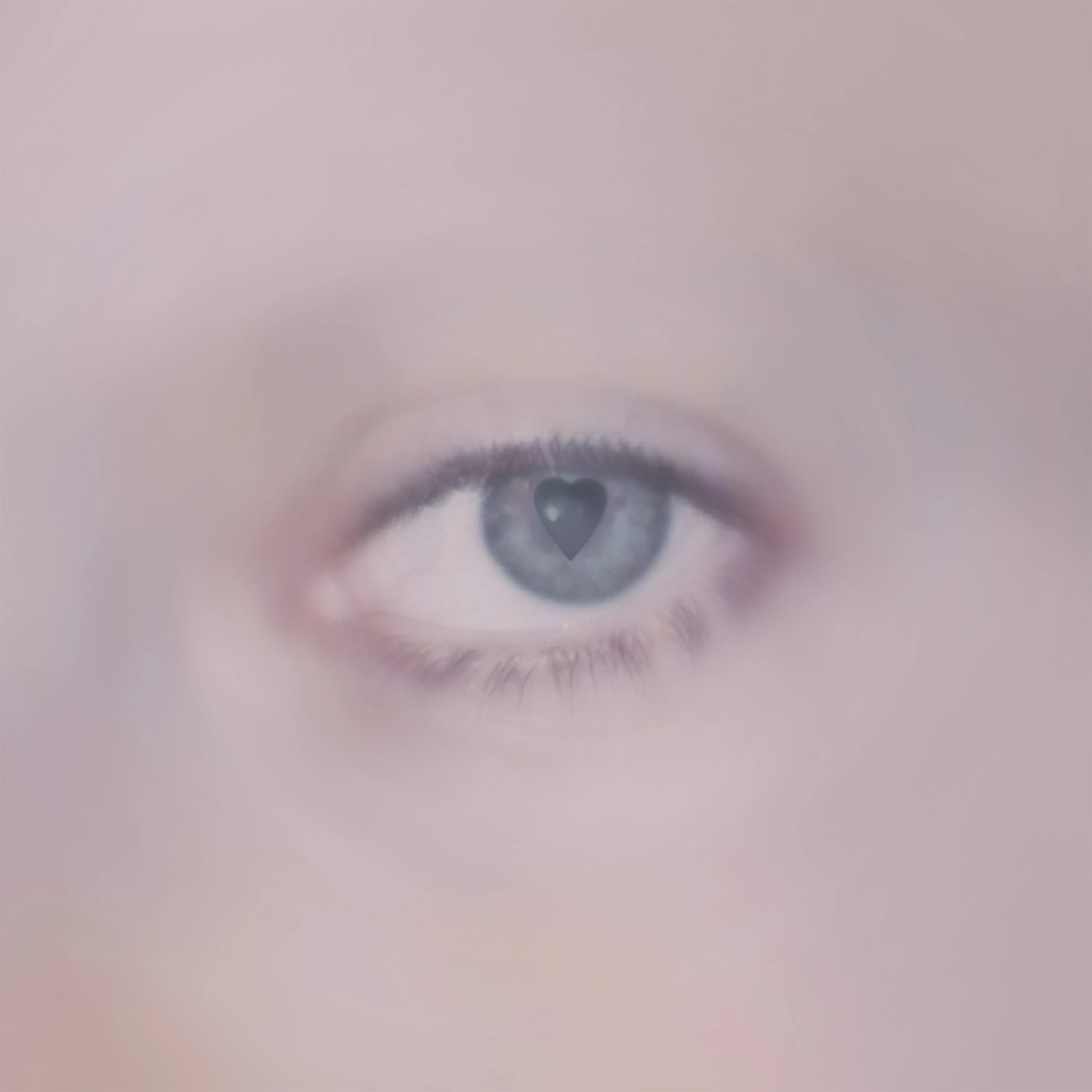 moondaddy - Dove Tapes