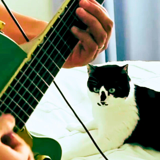 fizzbrand - 1st fizzbrand